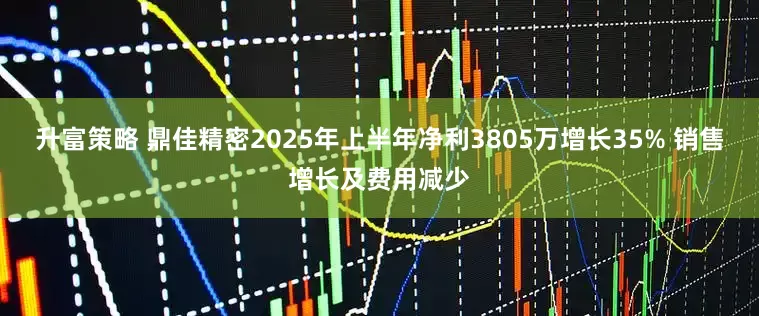 升富策略 鼎佳精密2025年上半年净利3805万增长35% 销售增长及费用减少