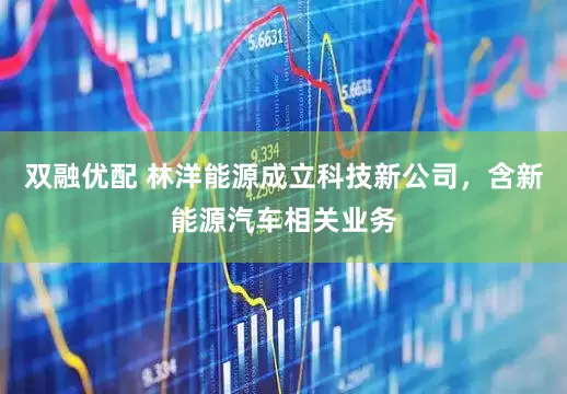 双融优配 林洋能源成立科技新公司，含新能源汽车相关业务